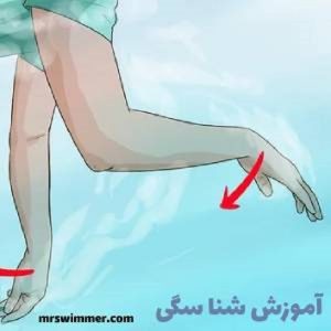 آموزش شنای سگی به زبان ساده؛ اولین قدم برای غلبه بر ترس از آب+۳ نکته مهم 4 آموزش شنای سگی